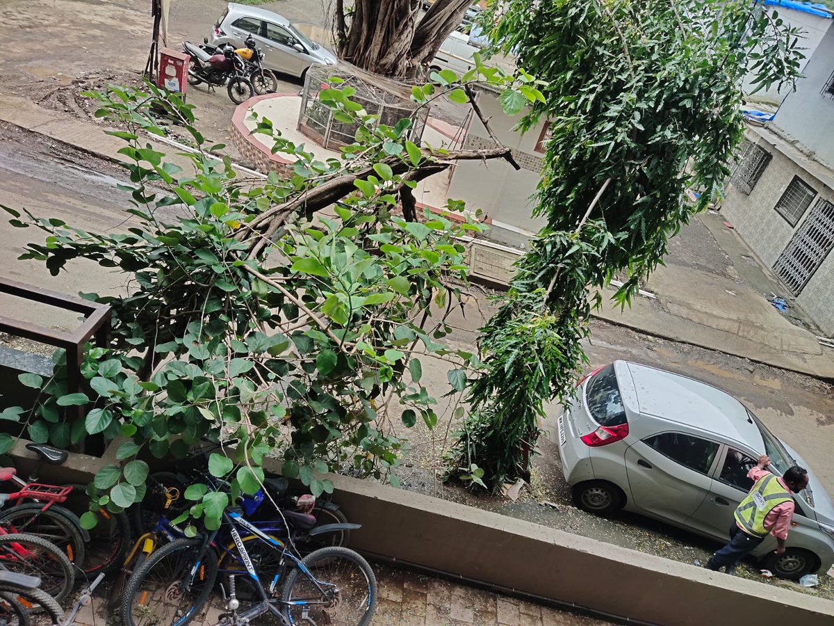 DeepDav51948709's tweet photo. @mybmc @mybmcWardRC - Tree is waiting to fall on someones head - near patrkar sadan road, Rajendra nagar, Borivali east.

Could you pls take a necessary action &amp; take off the almost fallen branch ?

🙏🏼 Big thanks in advance!!! https://t.co/AjVFc9AvnB