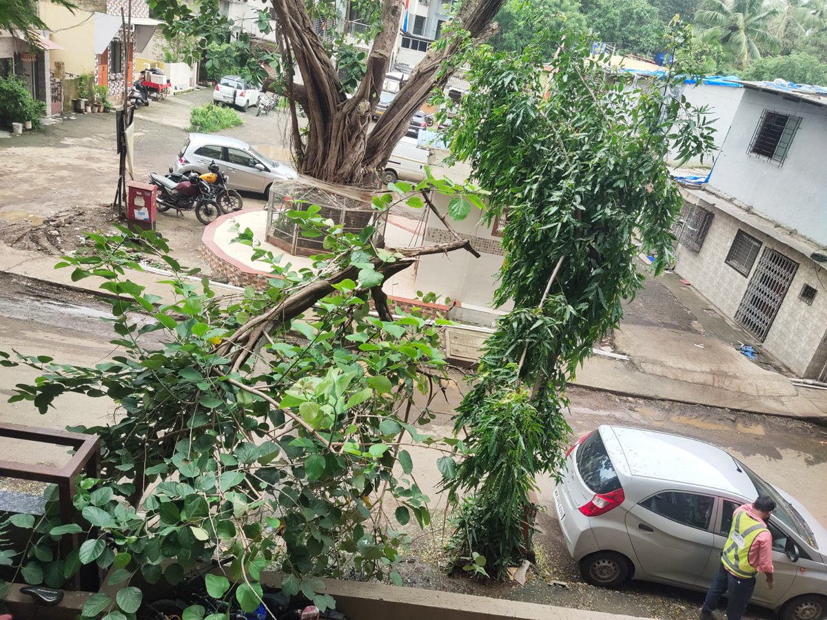 DeepDav51948709's tweet photo. @mybmc @mybmcWardRC - Tree is waiting to fall on someones head - near patrkar sadan road, Rajendra nagar, Borivali east.

Could you pls take a necessary action &amp; take off the almost fallen branch ?

🙏🏼 Big thanks in advance!!! https://t.co/AjVFc9AvnB