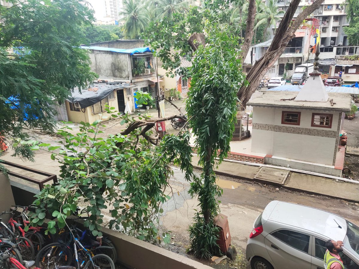 DeepDav51948709's tweet photo. @mybmc @mybmcWardRC - Tree is waiting to fall on someones head - near patrkar sadan road, Rajendra nagar, Borivali east.

Could you pls take a necessary action &amp; take off the almost fallen branch ?

🙏🏼 Big thanks in advance!!! https://t.co/AjVFc9AvnB