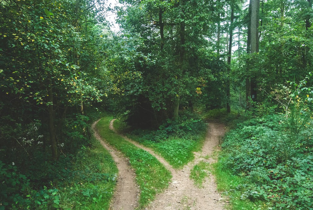 The other direction, the path Thomas chose, buttressed by the abstract notion of duty, rose from another ideal.

Read more 👉 lttr.ai/AfBxz

#BeyondSolitude #3rdAct