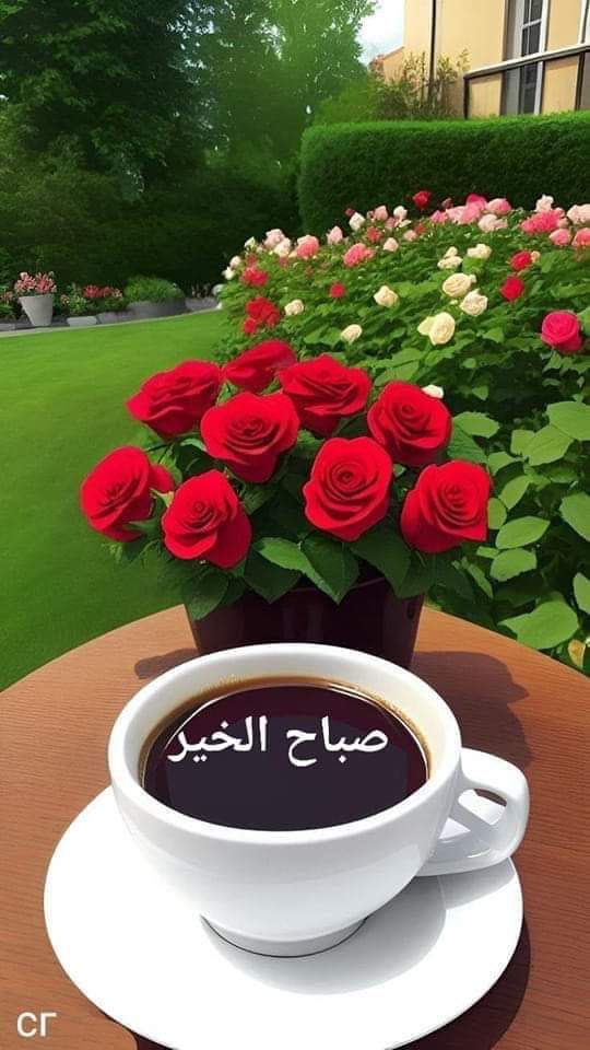 <a href="/hms____1/">سحابه عابره ۛ 👑💕</a>