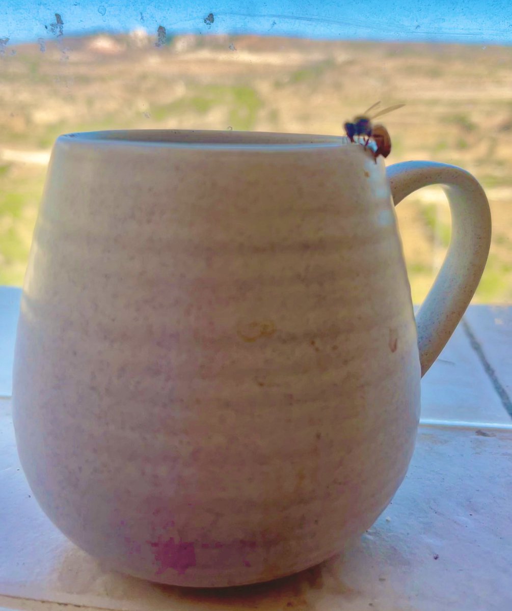 To Bee or to Coffee
That is the question