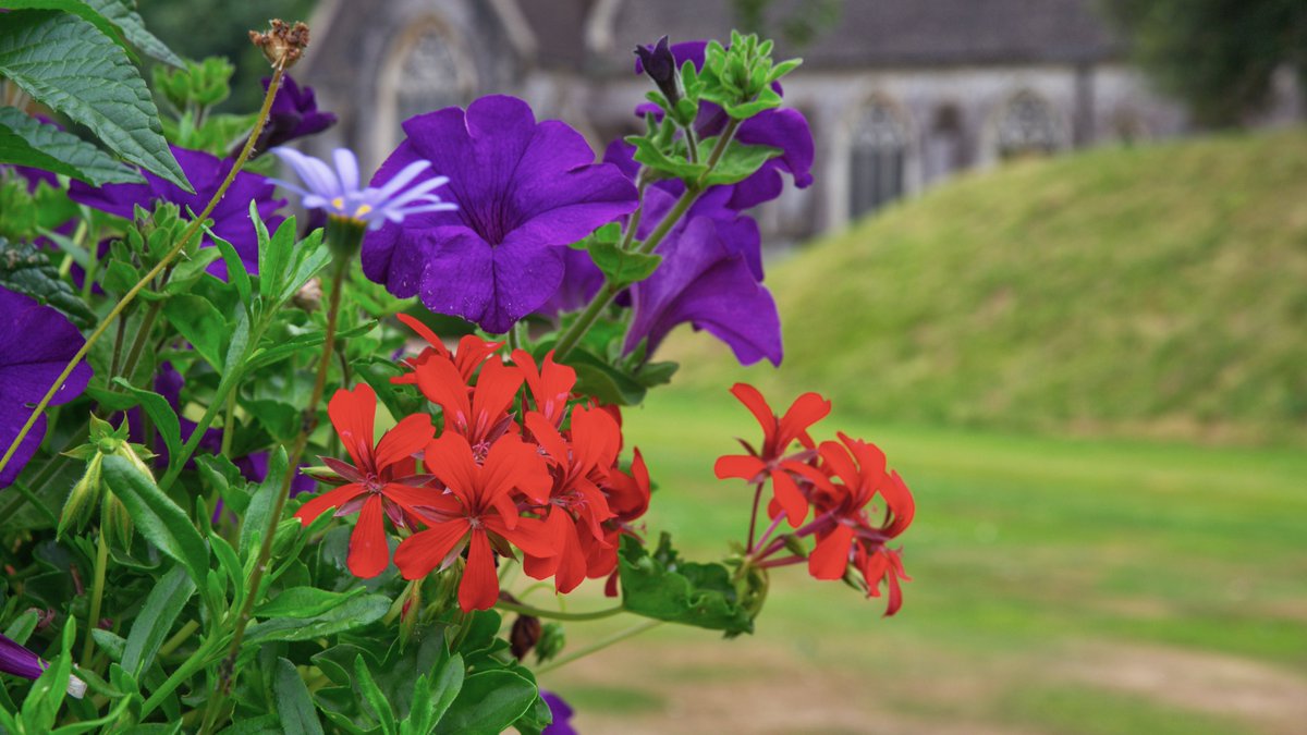 I__J__W's tweet image. yesterdays visit @BictonPark with @BarnesCoaches