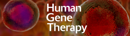 CIEMAT (@ciemat_opi) on Twitter photo 👩🔬🧑🔬Investigadores del <a href="/CIEMAT_OPI/">CIEMAT</a> <a href="/BioInn_CIEMAT/">CIEMAT Innovación Biomédica</a> logran un avance clave en #terapia #genética para la epidermólisis ampollosa distrófica, una #enfermedadrara de la piel.
👉Este trabajo se acaba de publicar en la prestigiosa revista Human Gene Therapy <a href="/LiebertPub/">Mary Ann Liebert Inc</a>, en 👩🔬🧑🔬Investigadores del <a href="/CIEMAT_OPI/">CIEMAT</a> <a href="/BioInn_CIEMAT/">CIEMAT Innovación Biomédica</a> logran un avance clave en #terapia #genética para la epidermólisis ampollosa distrófica, una #enfermedadrara de la piel.
👉Este trabajo se acaba de publicar en la prestigiosa revista Human Gene Therapy <a href="/LiebertPub/">Mary Ann Liebert Inc</a>, en