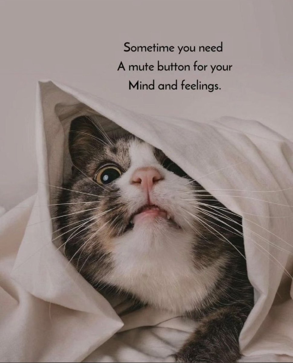 Shivani (@astro_healer_sh) on Twitter photo 