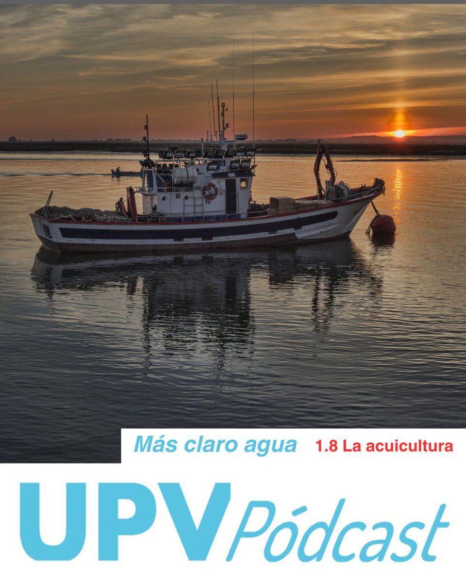 🐳 [MÁS CLARO AGUA]

🎣 Analizamos la pesca y la acuicultura desde una perspectiva de sostenibilidad. 

⛵ Exploramos los retos que enfrenta la industria y las posibles soluciones para garantizar la conservación de los ecosistemas marinos. 

🎙️tinyurl.com/mwrwdcm9