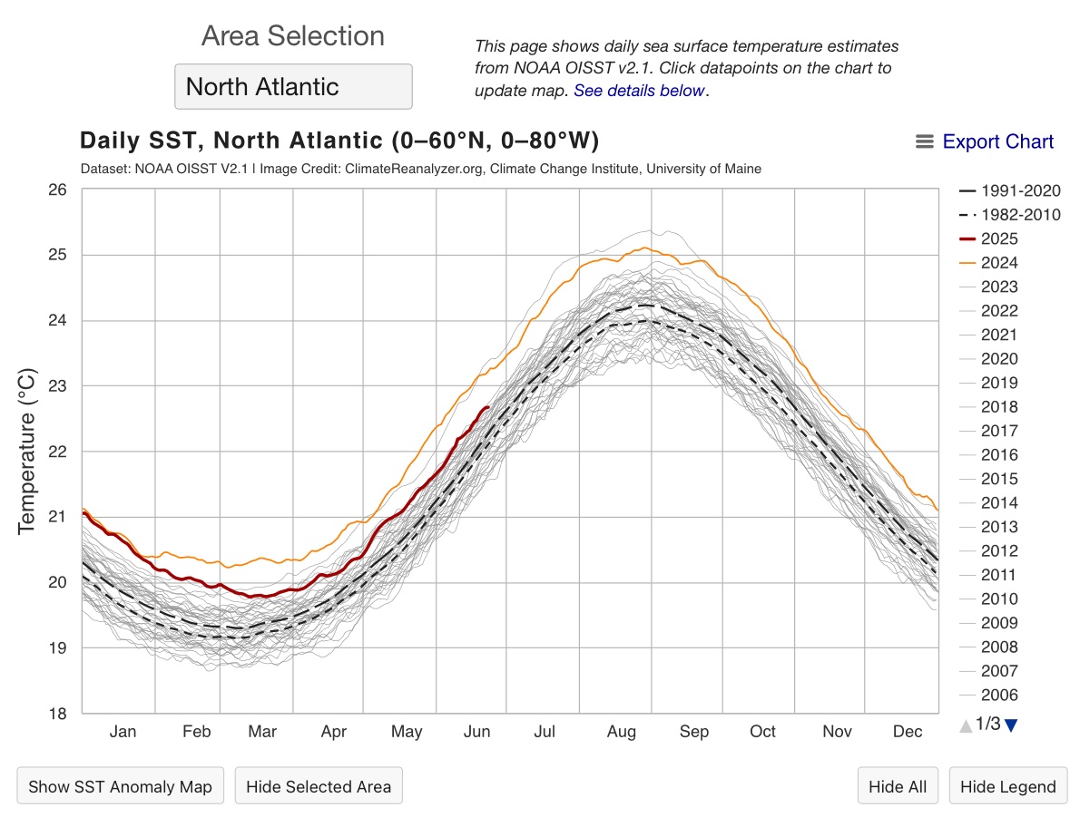 Maarten Mortier tweet media