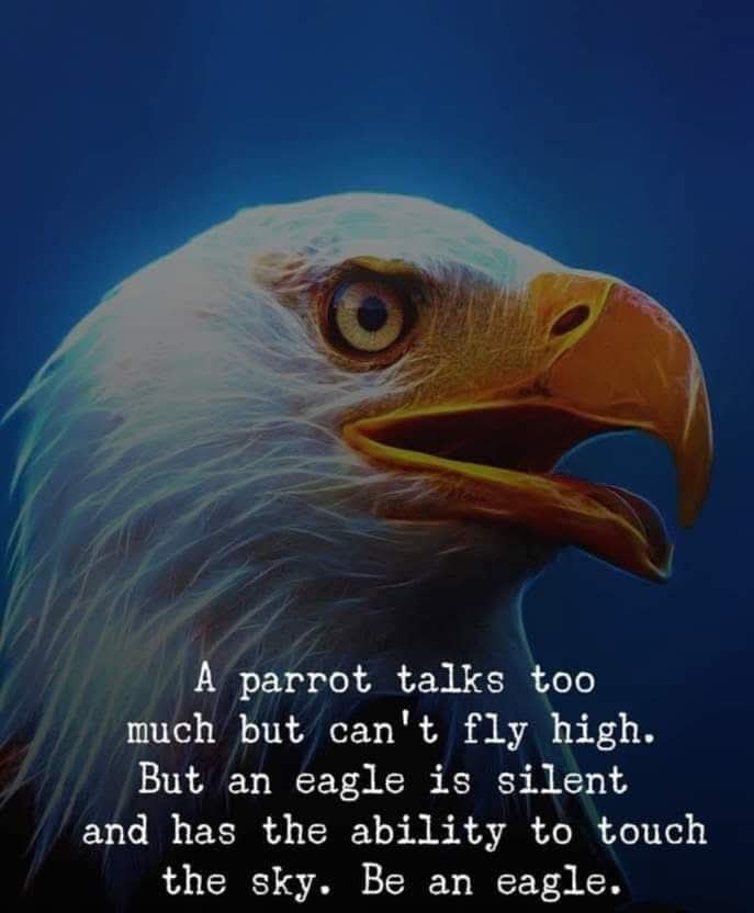 Martial_1970's tweet photo. Particularly wise indeed https://t.co/etYgslCyU7