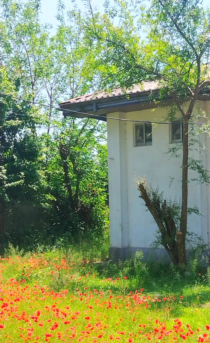 Hey there! Good morning after a long time 😊 Wishing you a happy and energetic day ahead!❤️