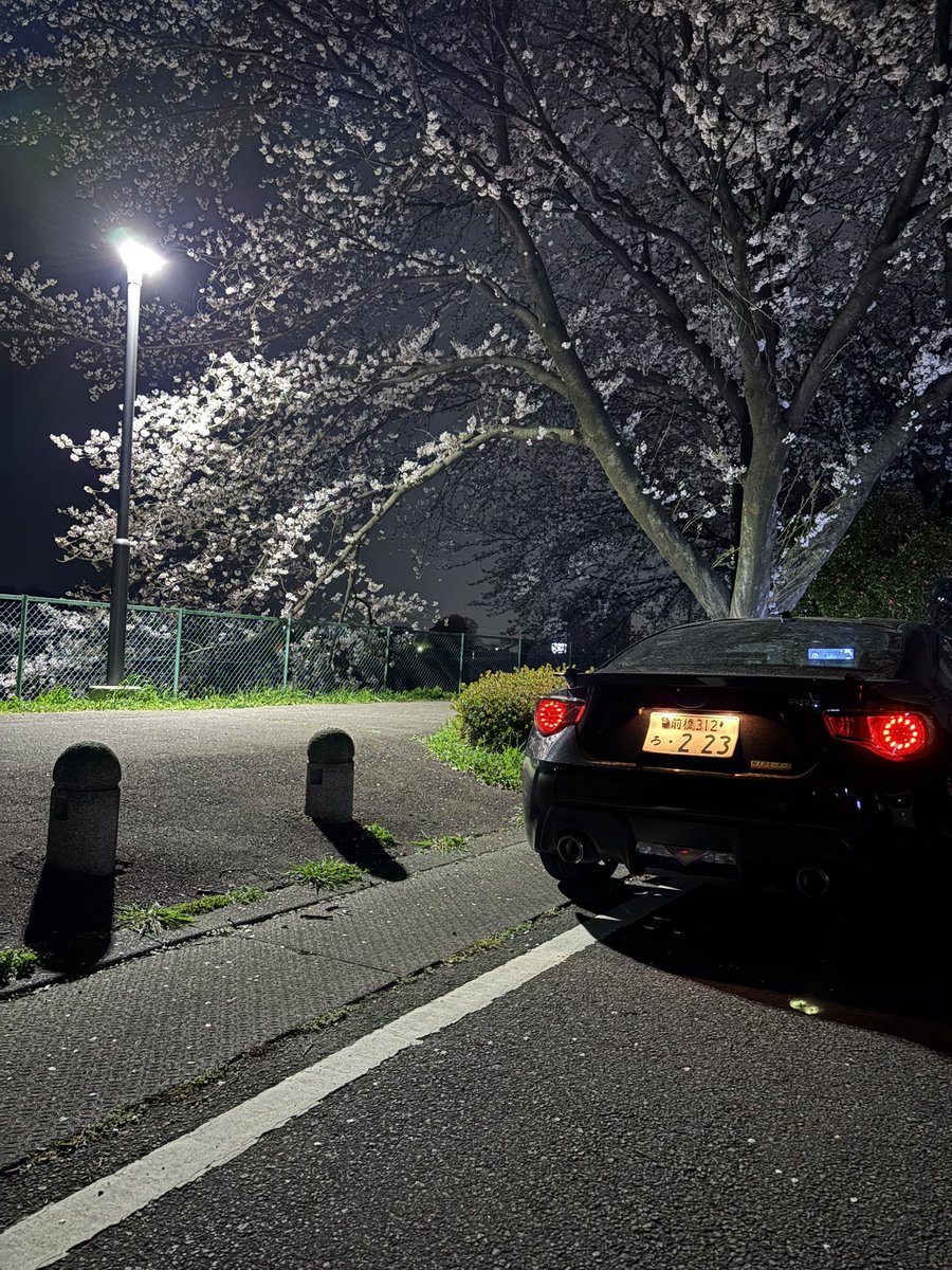 #スバル乗りと繋がろう2025初夏
初夏なのに桜っていうね