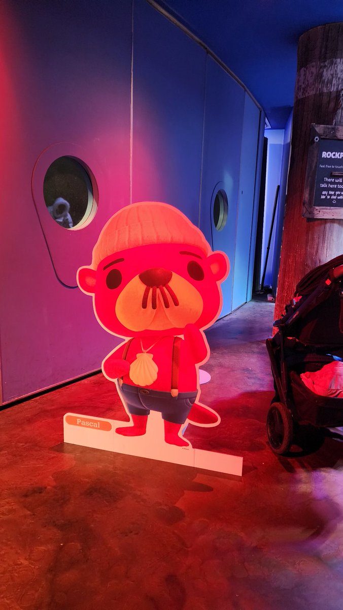 i met my goats in the aquarium today