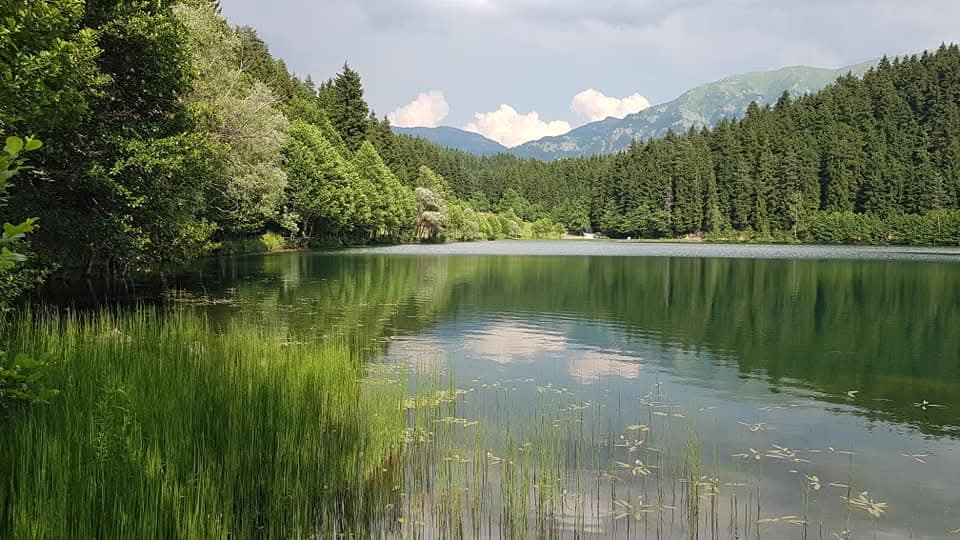 Artvin Şavşat Karagöl'ün en güzel zamanı bu aralardır. 6  yıl önce bugün çektiğim görselim.