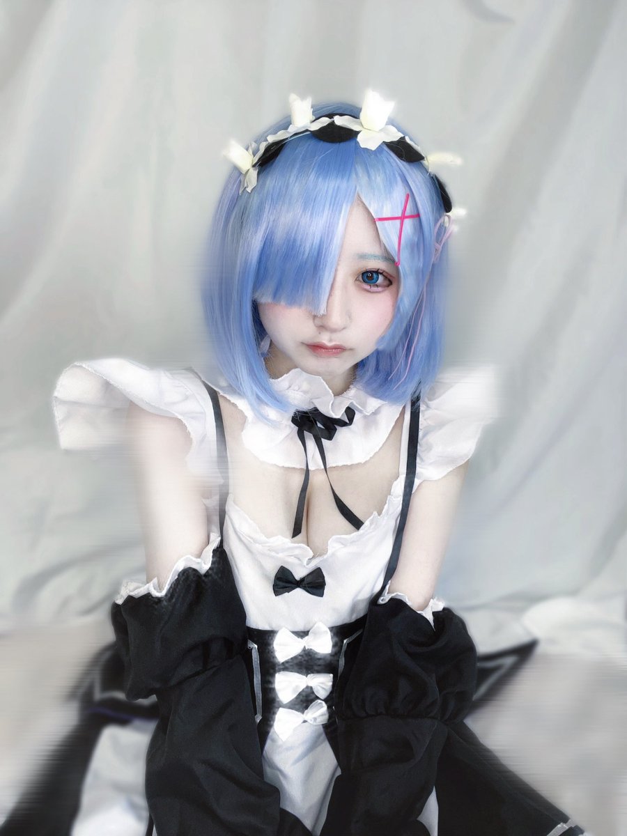 競売 うる  X: on 犬服・アクセサリー