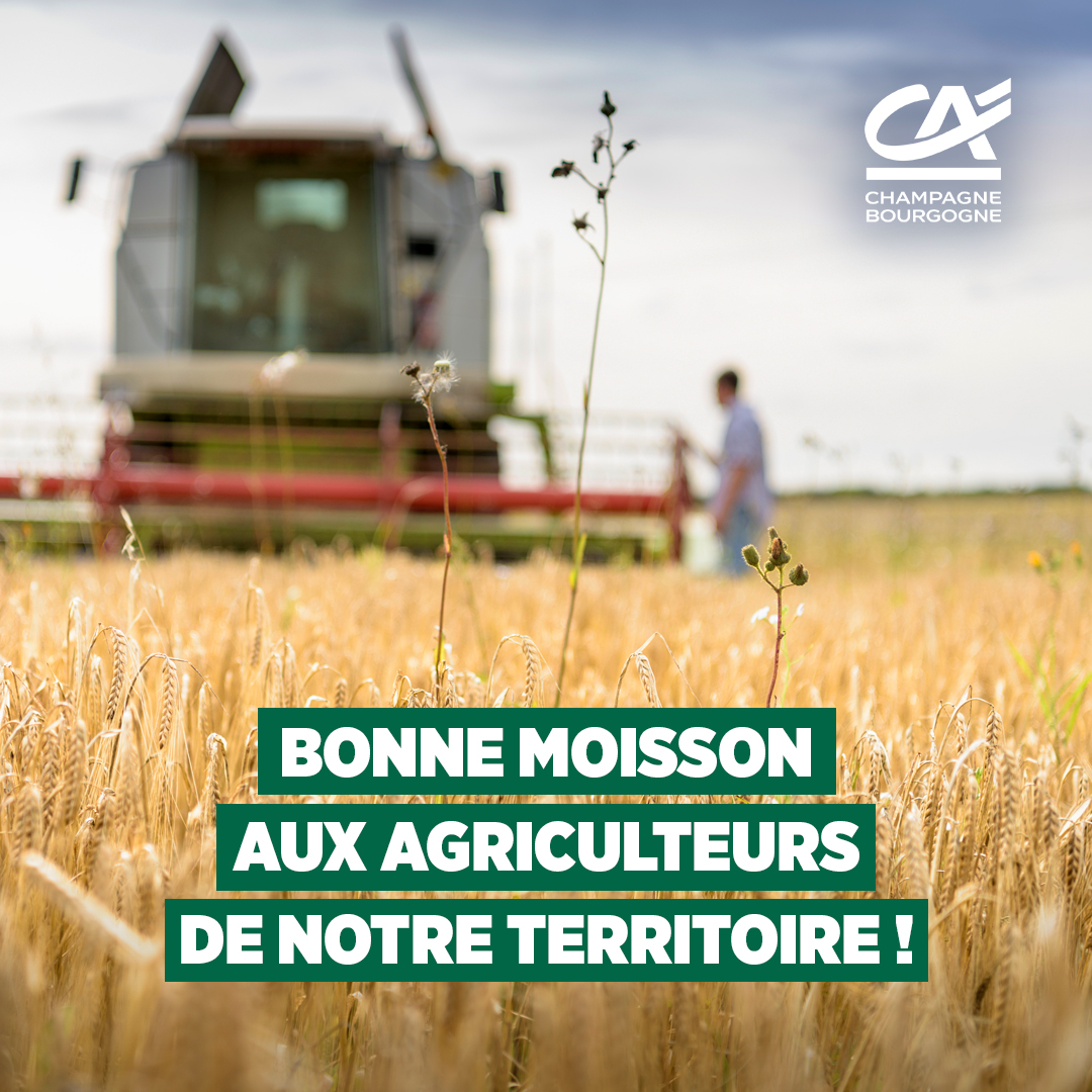 🚜🌾 Les moissonneuses batteuses sont en pleine activité pour le début des moissons !
Soutien aux agricultrices et agriculteurs lors de cette période intense et bonne récolte 2025 👍
#moisson #moisson2025 #agri #bourgogne #champagne