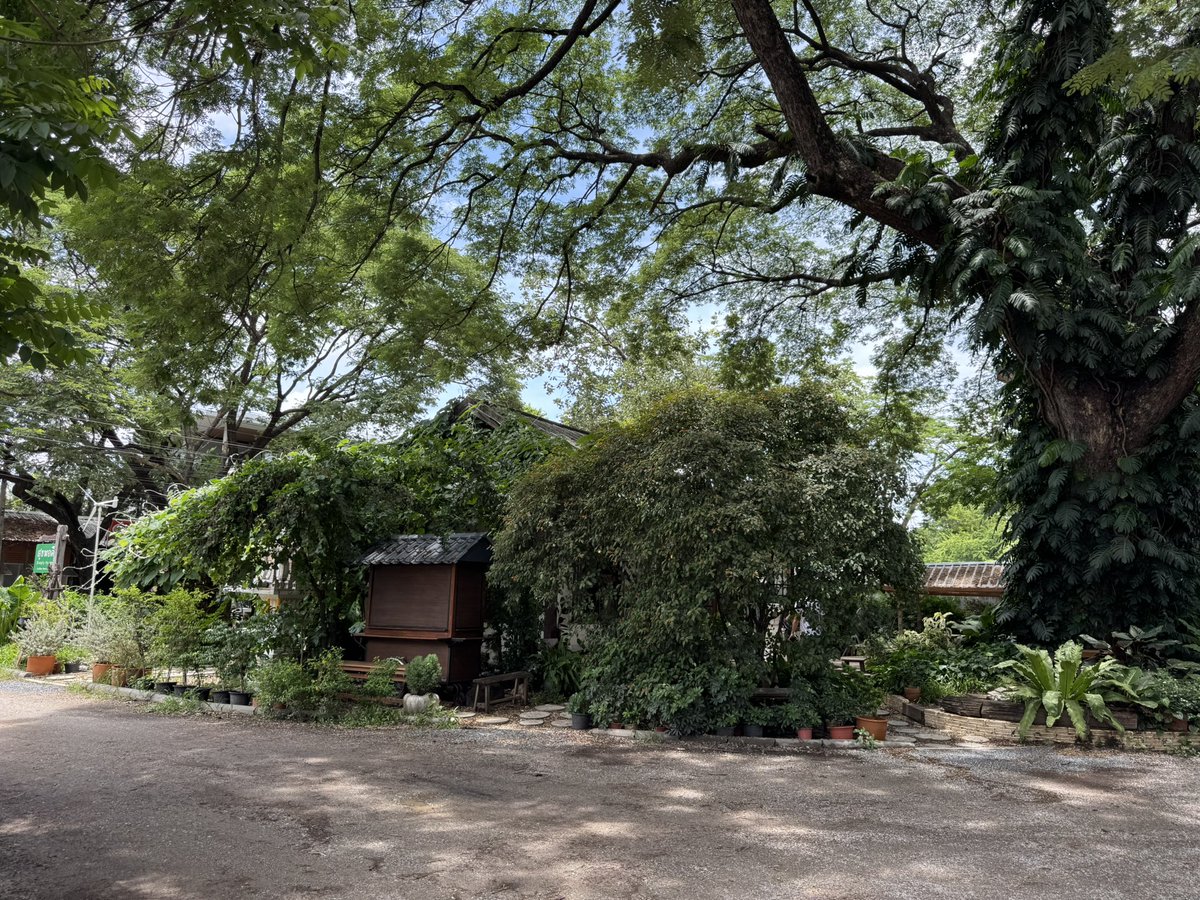 PerngJaii's tweet photo. จอดรถที่เดียวเก็บ 3 อร่อย 1)เหลายี่หลอด 2)ไส้กรอกแม่อุดม 3)ชิโอปัง 📍สุขพอดี ริมปิงขัวเหล็ก สูตรปังเกลือที่นี่ ด้านล่างที่ชุ่มเนยมีฟีลครัวซองท์ เล็กๆ นะ 😋😋😋 + คั่วอ่อน อมก๋อย 👍 @aroii @reviewchiangmai https://t.co/LaebeFmLVU