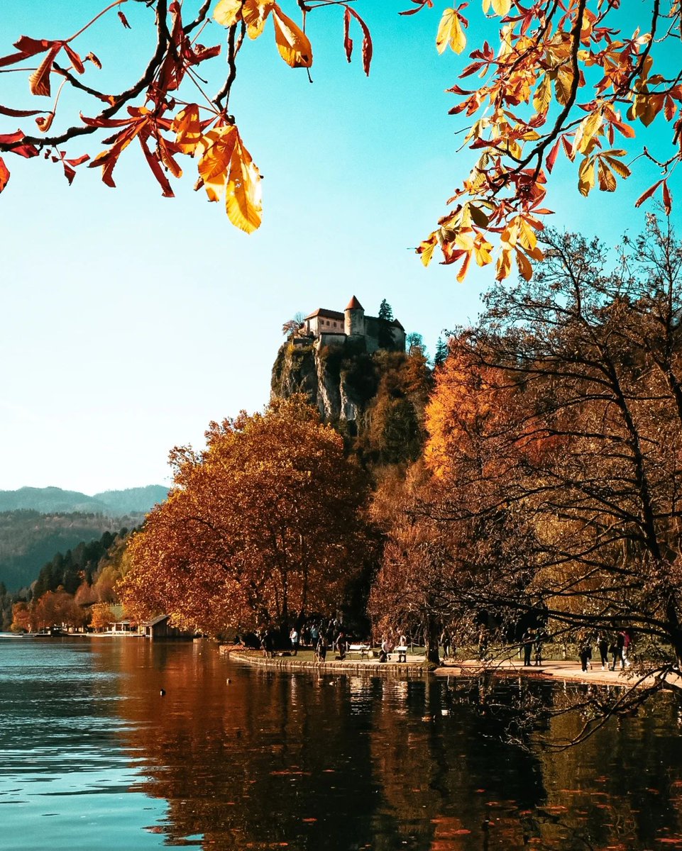 AusAmbVIE's tweet image. 🎉Congratulations Slovenia 🇸🇮 on 34 years of independence! Vesel dan državnosti!🇦🇺 values our partnership – characterised by our commitment to multilateral engagement, expanding trade links & vibrant cultural exchanges. We look forward to continued friendship & shared prosperity!
