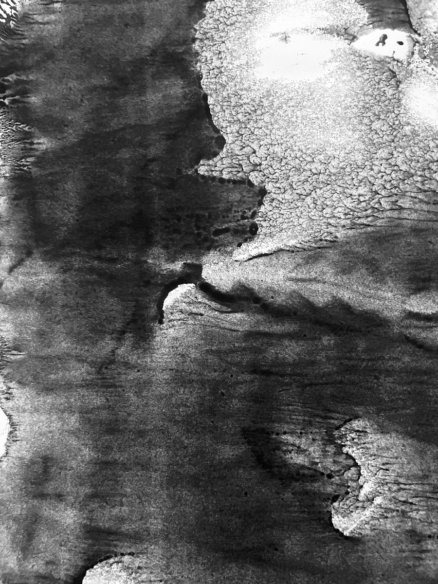 no faith tweet media