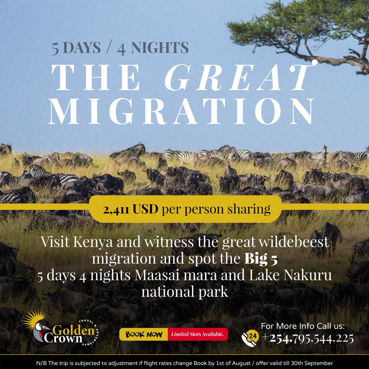 masterbrianke's tweet photo. THE GREAT MIGRATION IN KENYA
 5 days 4 nights adventure in the Maasai Mara and Nakuru national park 

3 days 2 nights in the Maasai Mara.
𝐓𝐨 𝐄𝐧𝐪𝐮𝐢𝐫𝐞 𝐨𝐫 𝐁𝐨𝐨𝐤
✉️ info@goldencrown.tours
💻Website: https://t.co/VwhVnQCkxl
📱𝐂𝐚𝐥𝐥 / 𝐖𝐡𝐚𝐭𝐬𝐚𝐩𝐩 0795 544225 https://t.co/cWMK2pBSxo