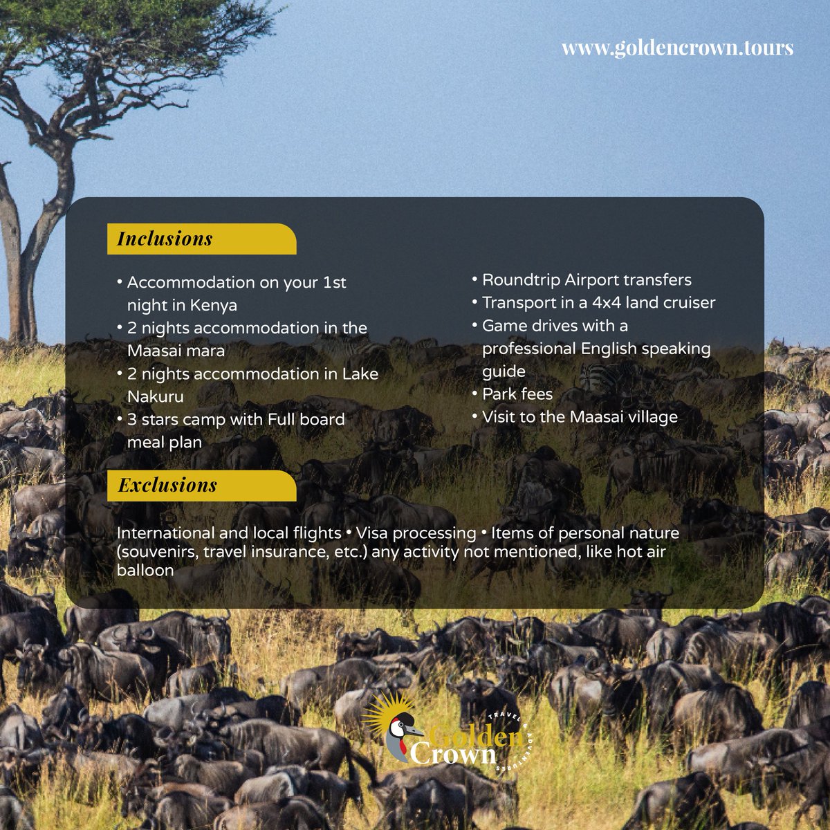 masterbrianke's tweet photo. THE GREAT MIGRATION IN KENYA
 5 days 4 nights adventure in the Maasai Mara and Nakuru national park 

3 days 2 nights in the Maasai Mara.
𝐓𝐨 𝐄𝐧𝐪𝐮𝐢𝐫𝐞 𝐨𝐫 𝐁𝐨𝐨𝐤
✉️ info@goldencrown.tours
💻Website: https://t.co/VwhVnQCkxl
📱𝐂𝐚𝐥𝐥 / 𝐖𝐡𝐚𝐭𝐬𝐚𝐩𝐩 0795 544225 https://t.co/cWMK2pBSxo