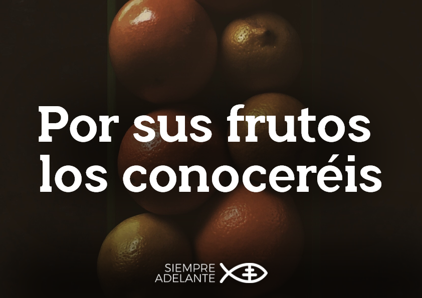 #EvangelioDelDía| Mt 7, 15-20. Por sus frutos los conoceréis
archisevillasiempreadelante.org/palabraviva-25…

#PalabraViva #SiempreAdelante