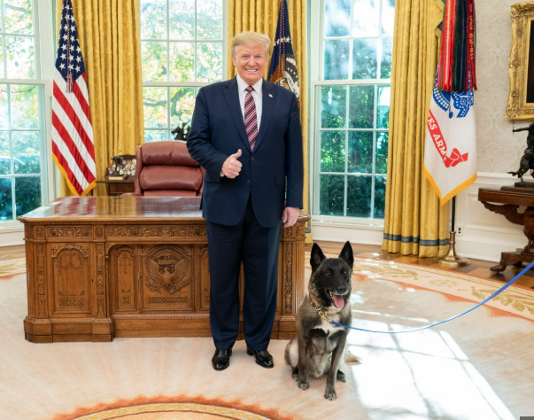 kurt_giless's tweet photo. The new NATO leader Mark Rutte is kissing Trump’s arse.
He said that Europe is willing to go all out to be a loyal dog to the United States. https://t.co/KndUKlb8PK