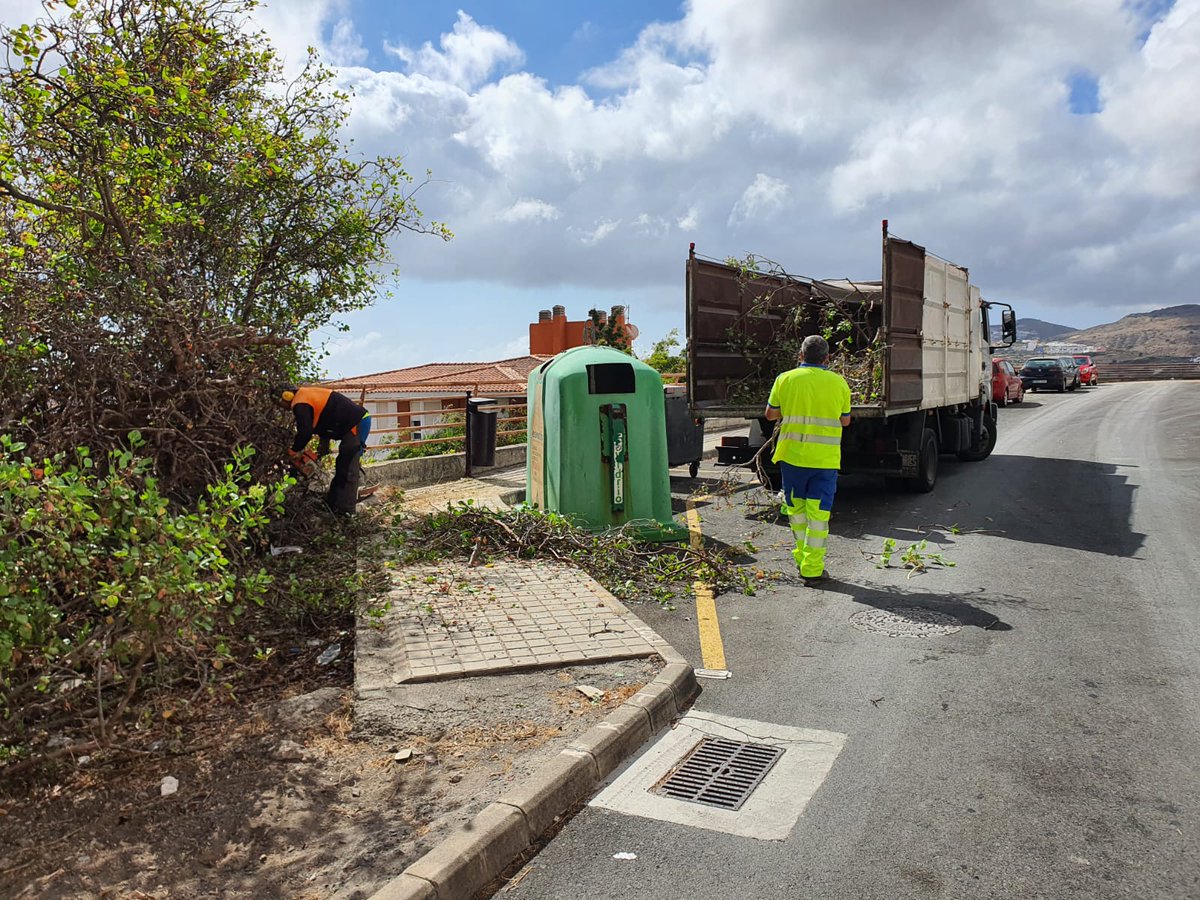 LimpiezaLPGC's tweet photo. Actuación especial de limpieza y #desbrozado ✂️🌾 de hierbas y arbustos de zonas peatonales en el barrio de #IslaPerdida https://t.co/H6iqSUunRa