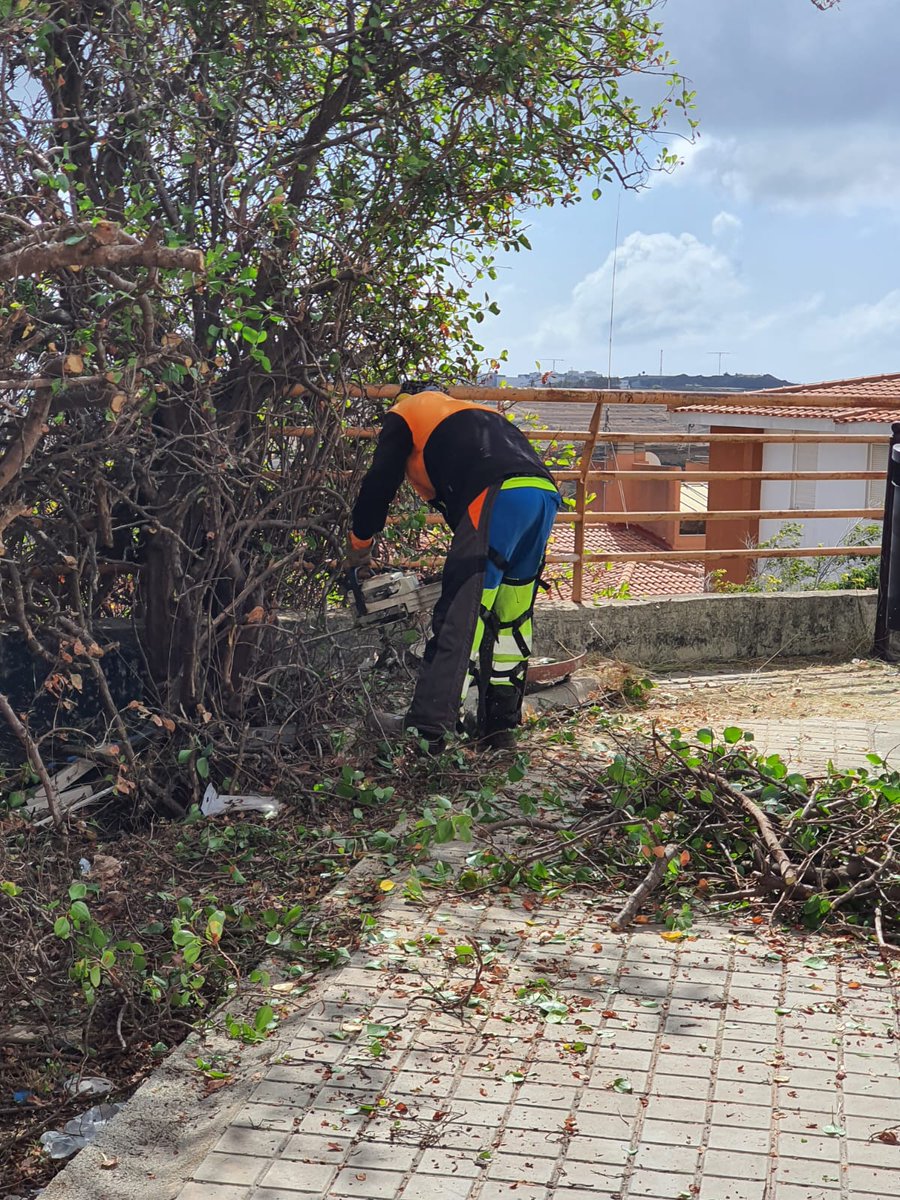 LimpiezaLPGC's tweet photo. Actuación especial de limpieza y #desbrozado ✂️🌾 de hierbas y arbustos de zonas peatonales en el barrio de #IslaPerdida https://t.co/H6iqSUunRa