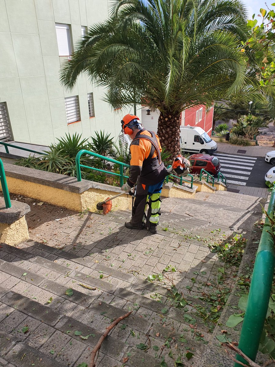 LimpiezaLPGC's tweet photo. Actuación especial de limpieza y #desbrozado ✂️🌾 de hierbas y arbustos de zonas peatonales en el barrio de #IslaPerdida https://t.co/H6iqSUunRa