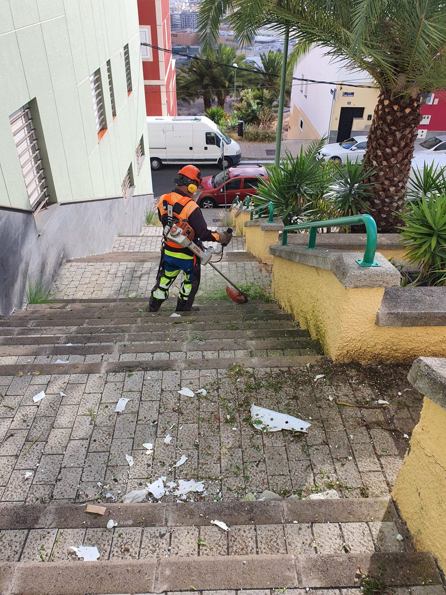 LimpiezaLPGC's tweet photo. Actuación especial de limpieza y #desbrozado ✂️🌾 de hierbas y arbustos de zonas peatonales en el barrio de #IslaPerdida https://t.co/H6iqSUunRa