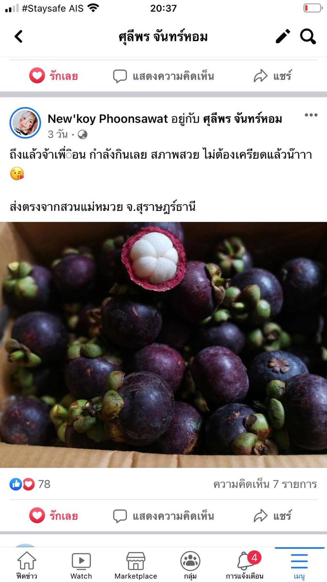 PuiSulee's tweet photo. เปิดรอบใหม่แล้วค่ะ รอบพรุ่งนี้เต็มแล้ว
รอบส่งวันศุกร์นะคะ
มังคุดสดๆ จากสวน คละไซส์ แต��รอบนี้ลูกใหญ่สวยค่ะ
3 กิโลกรัม 190 บาท รวมส่ง
5 กิโลกรัม 290 บาท รวมส่ง
ส่งดิบไปสุกที่ลูกค้าเลยค่ะ รับประกันเนื้อสวย
เช็คประวัติได้ค่ะ #มังคุด https://t.co/XOiIc98lM5