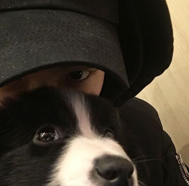 nikkoolaid's tweet image. ㅤㅤㅤㅤㅤ  

ㅤㅤㅤㅤㅤ