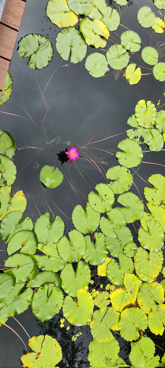 love every day and enjoy every day,there are only 30000 days in life,do not annoyed by bad person and bad things