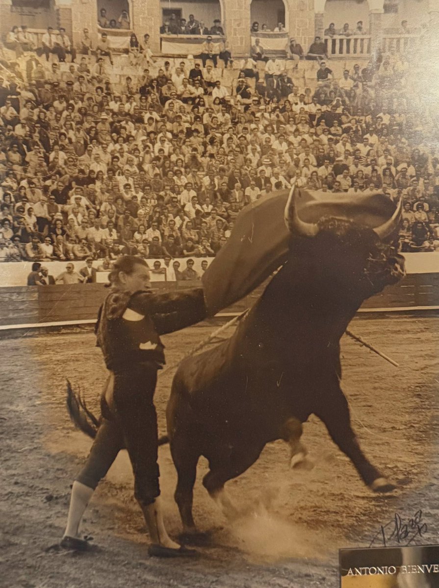 Centenario Antonio Bienvenida (@centenarioanto1) on Twitter photo Don Antonio Bienvenida, torero por la gracia de Dios. Don Antonio Bienvenida, torero por la gracia de Dios.