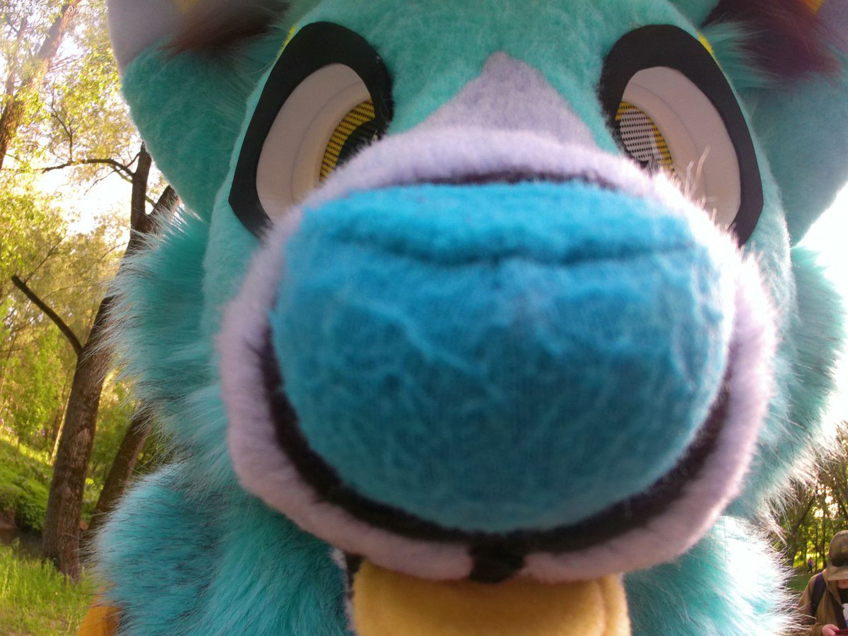 Alex_Wolfi99's tweet photo. Boop nose🐾🐺🐾 https://t.co/uxR4I2Se0m