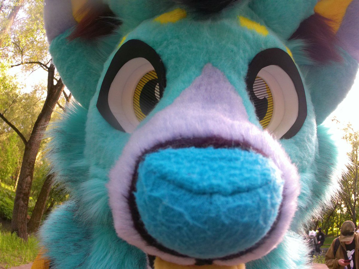 Alex_Wolfi99's tweet photo. Boop nose🐾🐺🐾 https://t.co/uxR4I2Se0m