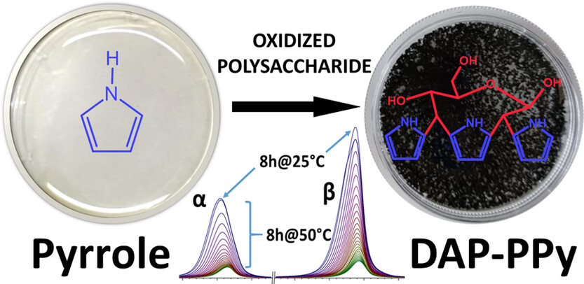 BFUavcr's tweet image. Polypyrrole just got an upgrade.
We’ve discovered a green, catalyst-free method to make this powerful conductive polymer safer and more biocompatible — ideal for future biomedical and wearable tech.
#GreenChemistry #Biomaterials #SmartPolymers