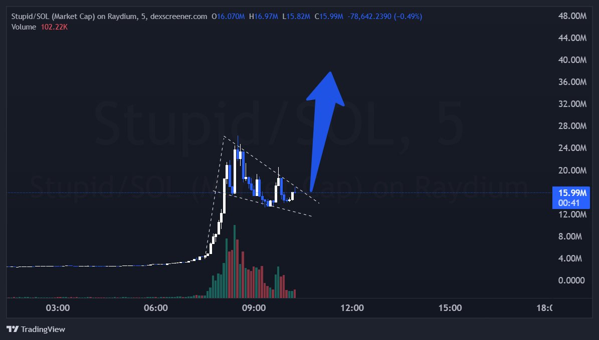 This one $stupid coin is going to $50M at least in the next breakout.

>> Previous ATH was $84M
>> Coin is 4 months old.
>> It's a CTO
>> Owns a million-dollar domain stupid.com
>> Bull pennant forming. 
>> Volume soaring

9RjwNo6hBPkxayWHCqQD1VjaH8igSizEseNZNbddpump