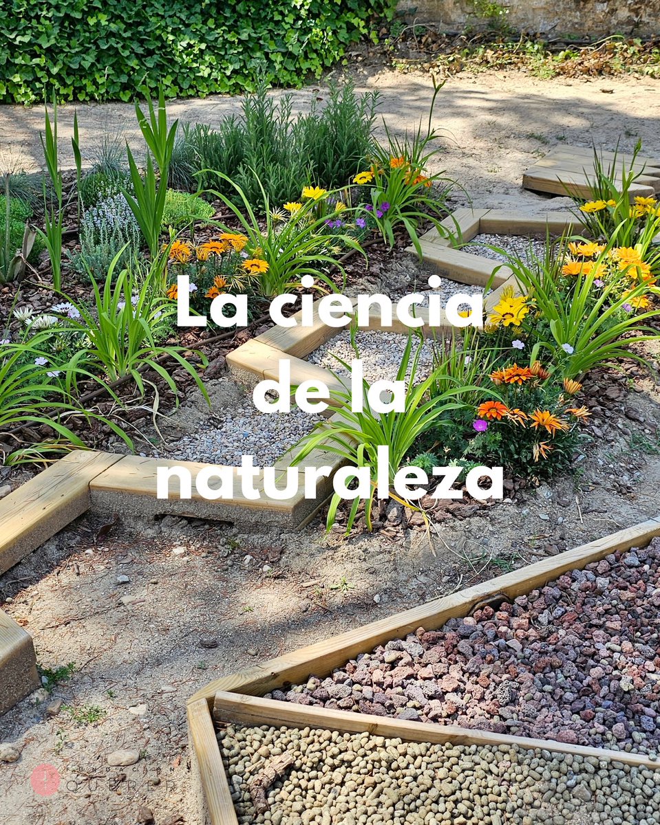 Detrás de la belleza del Jardín Terapéutico de la Fundación Querer hay un proceso riguroso de planificación, diseño y validación científica. No es solo un espacio verde: es el resultado de una metodología interdisciplinar basada en la evidencia, con más de 700 horas de sesiones