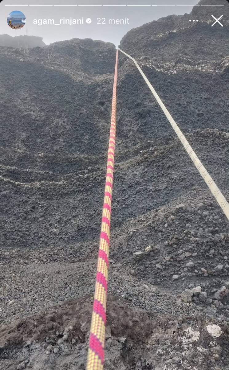 heulaaluhe tweet media