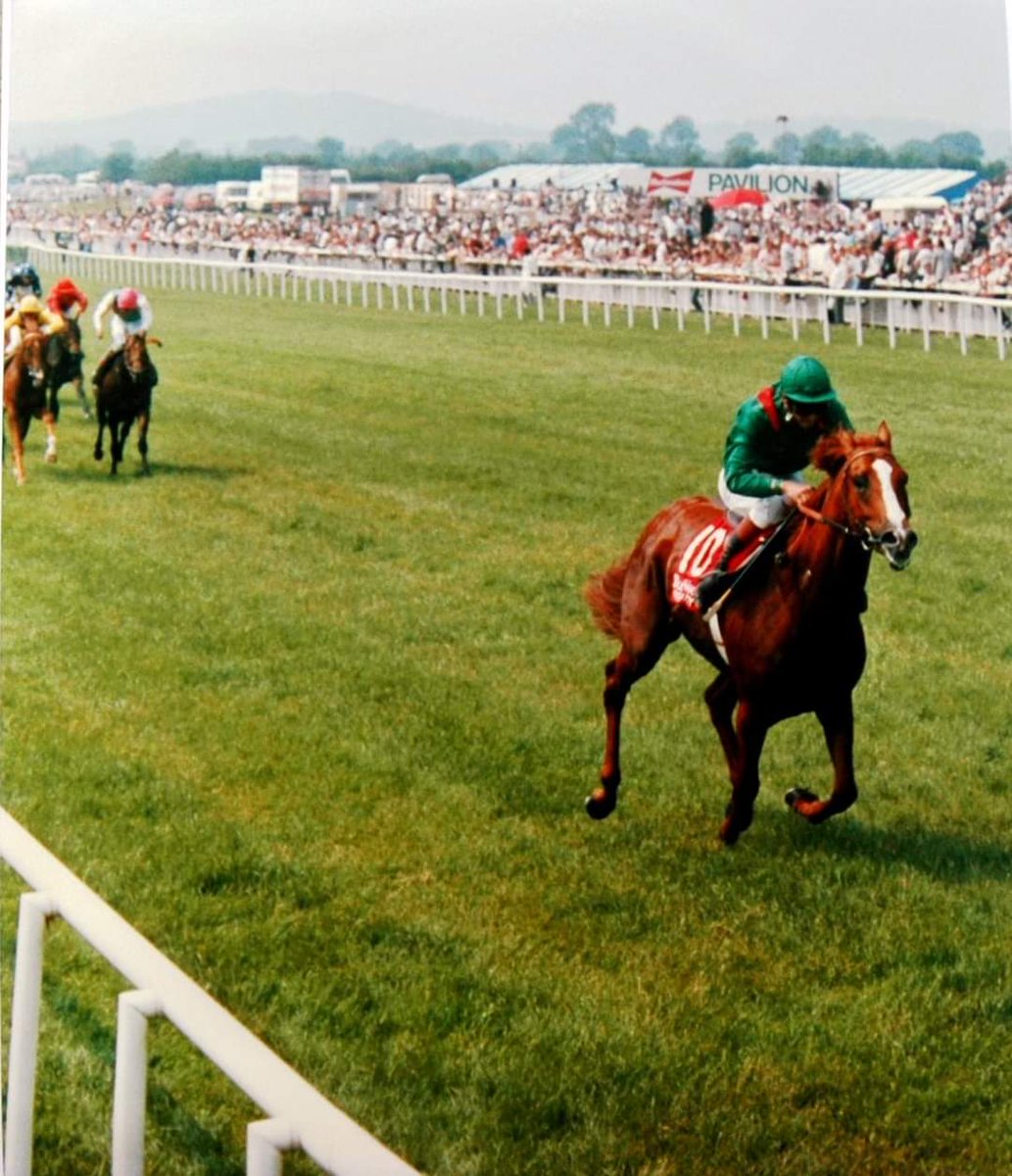 After controversially ousting Dancing Brave at Epsom, Shahrastani proved his merit in no uncertain terms with an 8 length defeat of recent Royal Ascot scorer Bonhomie in the 1986 Irish Derby.
Shahrastani thus became the ninth horse to complete the English/Irish Derby double.