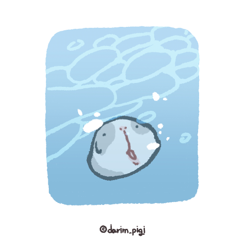 darim_pigi's tweet image. 요즘 날씨