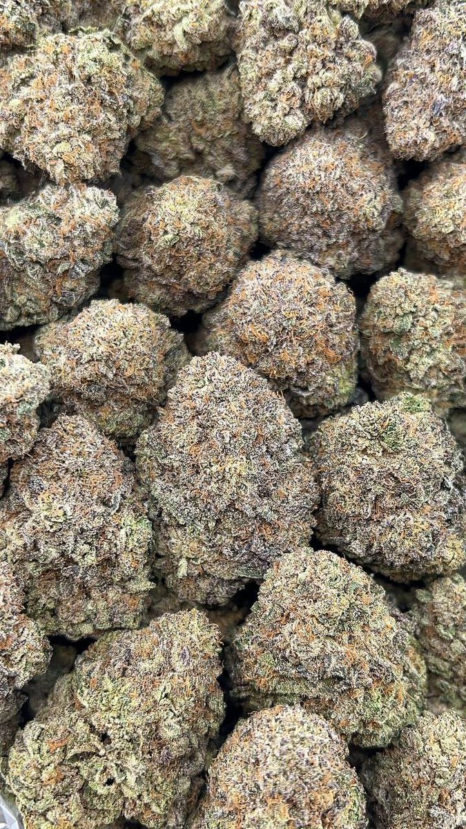 GELATO CREAM CAKE

$130/Oz
$435/LB