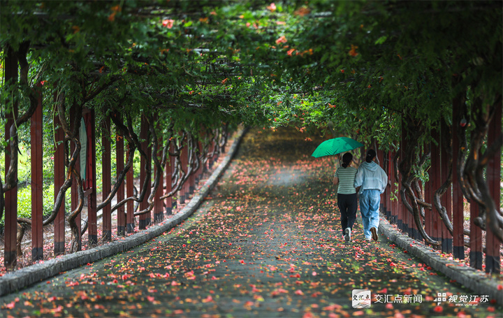 JiangsuNow's tweet photo. The recent Plum Rain season in Jiangsu, especially its southern part, has brought constant rain, which adds a special 📸️“filter” on the city landscapes. 
#BeautifulJiangsu #PhotooftheDay
#VisitJiangsu https://t.co/MU88n1rINw