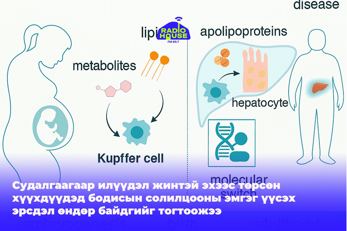 Таргалалттай эхээс төрсөн хүүхдүүдийн хувьд, тэдний өөрсдийн хоолны дэглэм эрүүл байсан ч бодисын солилцооны эмгэг, тухайлбал элэгний өөхлөлт зэрэг өвчинд өртөх эрсдэл мэдэгдэхүйц нэмэгддэг байна. Бонны их сургуулийн судлаачдын шинэ судалгаа энэ эрсдэлийн уг шалтгааныг