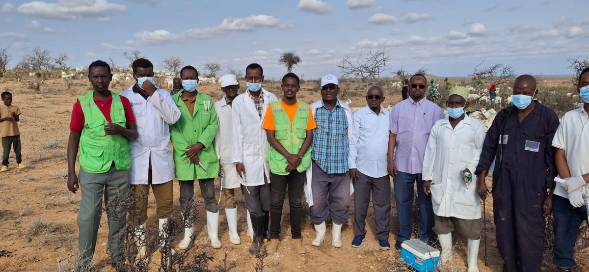 Mandera CEC for Agriculture, Livestock, and Fisheries, Hon. Shabure, and Chief Officer Mr. Kulla joined the ongoing mass livestock vaccination campaign being carried out across Mandera County.

💉 This field engagement is part of a broader effort to monitor the progress of the