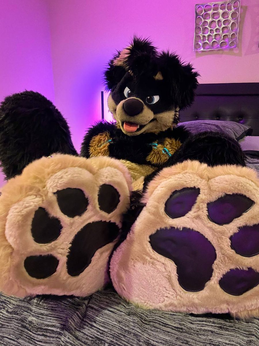 CobyDoggo's tweet image. Paws are pretty cool.