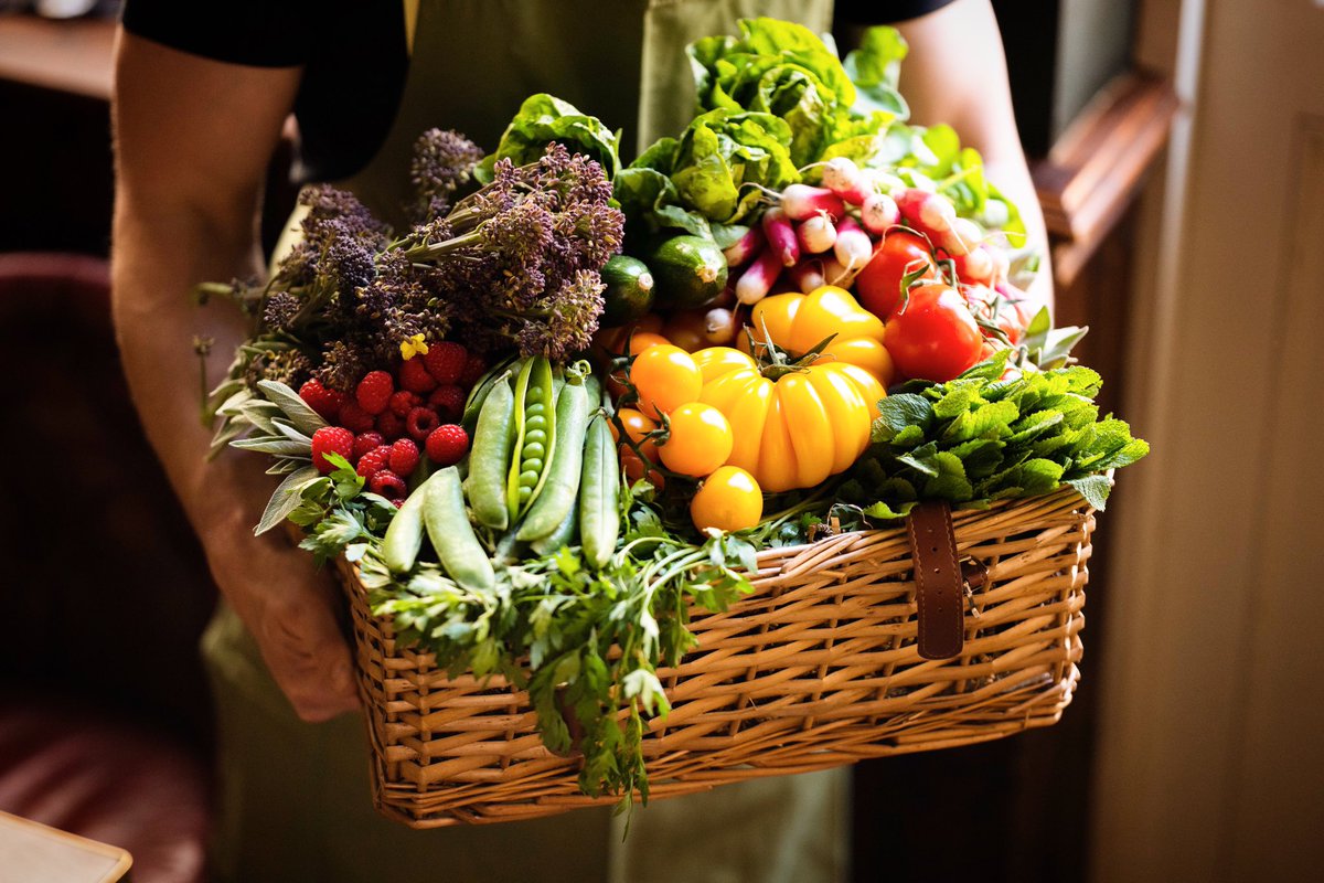 Our Summer Menu has landed!
Celebrate the return of the sunshine (we have it on good authority that it’s here to stay) with the launch of our Summer Menu. Find the best seasonal produce from around the UK, sautéed, seared, and served up in true Theodore style. 2 courses for £18!