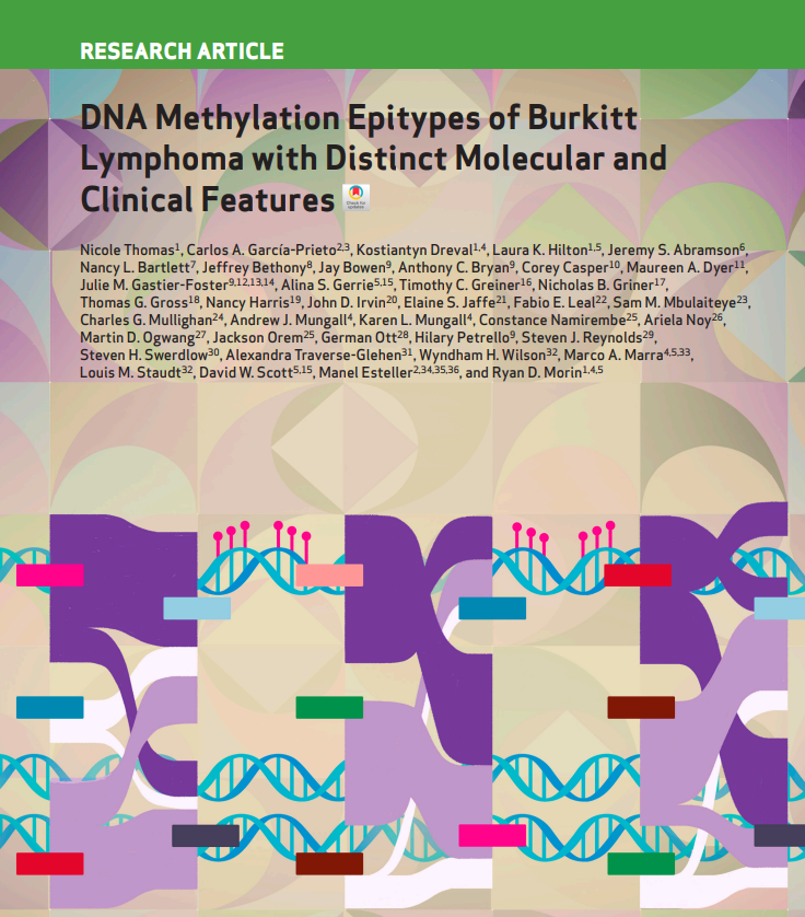 Manel Esteller (@manelesteller) on Twitter photo I couldn’t resist highlighting the beautiful first page of our recent <a href="/BCD_AACR/">Blood Cancer Discovery</a> <a href="/AACR/">AACR</a> article, which unveils the two distinct #Epitypes #DNA #Methylation profiles that characterize #Burkitt #lymphoma 
aacrjournals.org/bloodcancerdis… I couldn’t resist highlighting the beautiful first page of our recent <a href="/BCD_AACR/">Blood Cancer Discovery</a> <a href="/AACR/">AACR</a> article, which unveils the two distinct #Epitypes #DNA #Methylation profiles that characterize #Burkitt #lymphoma 
aacrjournals.org/bloodcancerdis…
