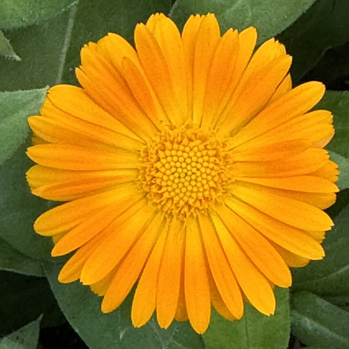 TashJPiggott (@piggotttash) on Twitter photo 