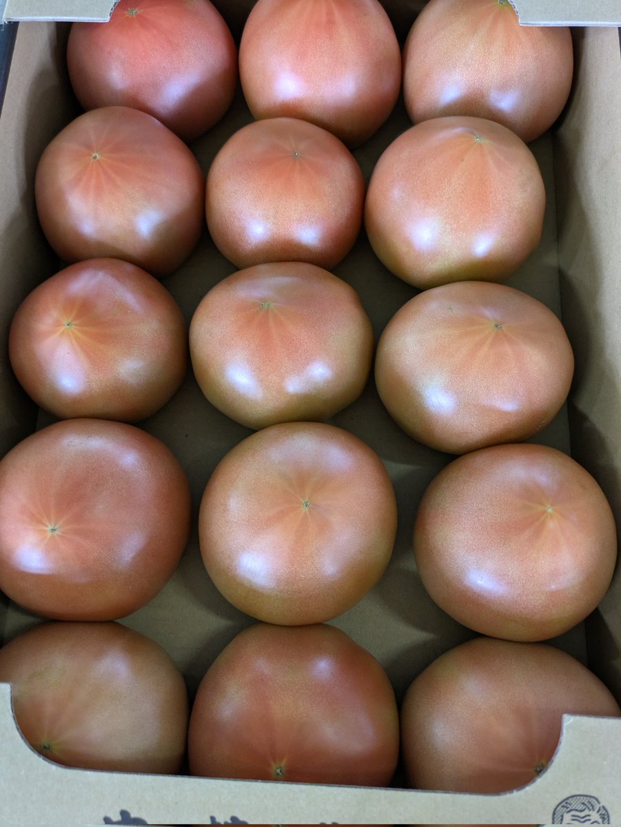 トマトの選果場がスタートしました🍅つやつやの美味しいトマトを選別して出荷✨
会津産のトマト見かけたらぜひ食べてみて下さいね😋
#会津のトマト　#選果場　#りんか